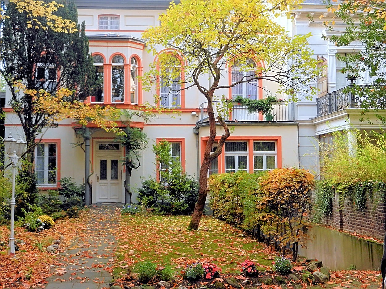 Herbst in Bonn 1