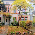 Herbst in Bonn 1