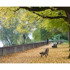 Herbst in Bonn