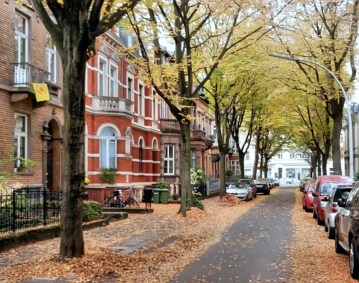 Herbst in Bonn 2