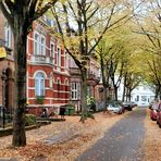 Herbst in Bonn 2