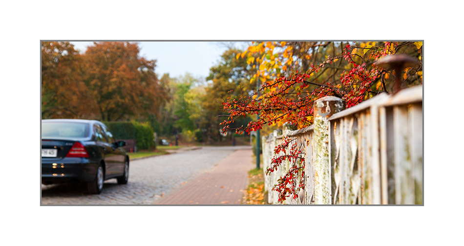 Herbst in Born