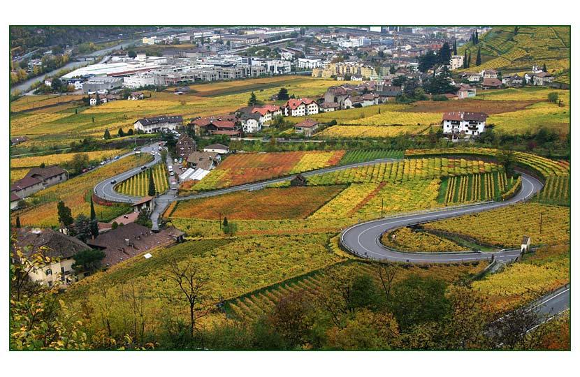 Herbst in Bozen