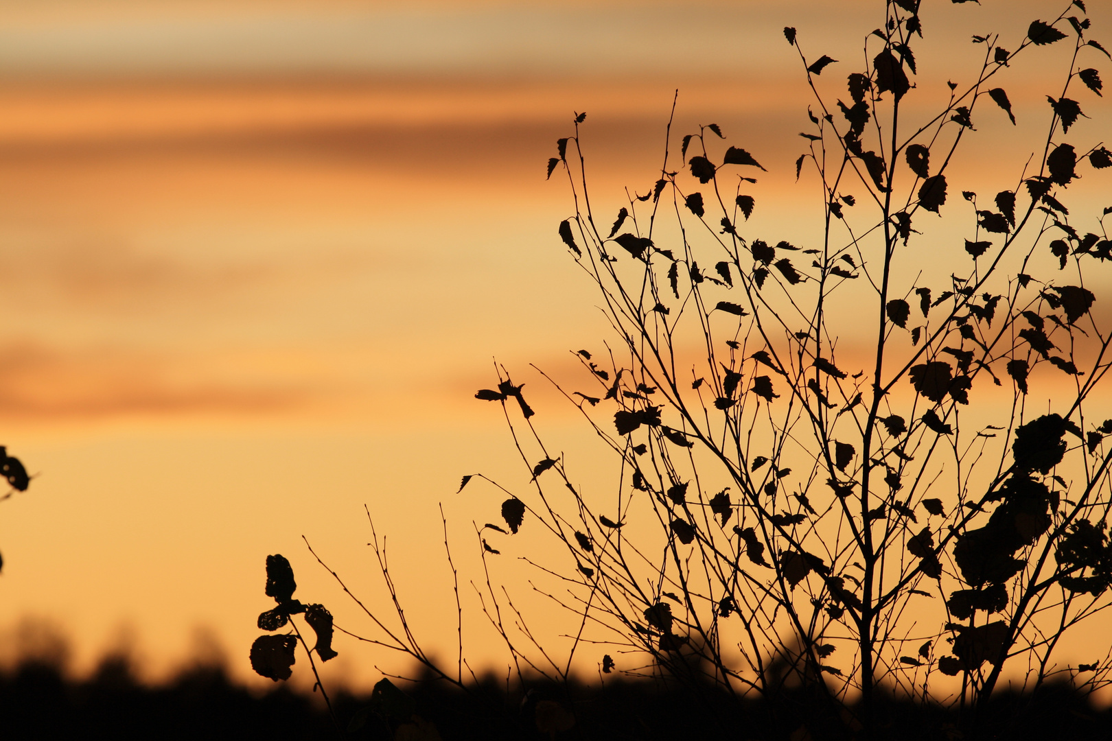 Herbst in Bramstedt