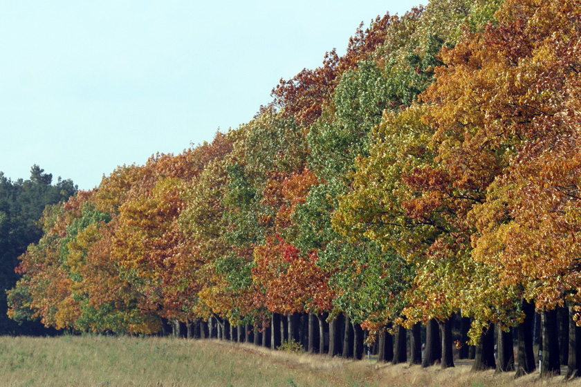 Herbst in Brandenburg