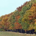 Herbst in Brandenburg