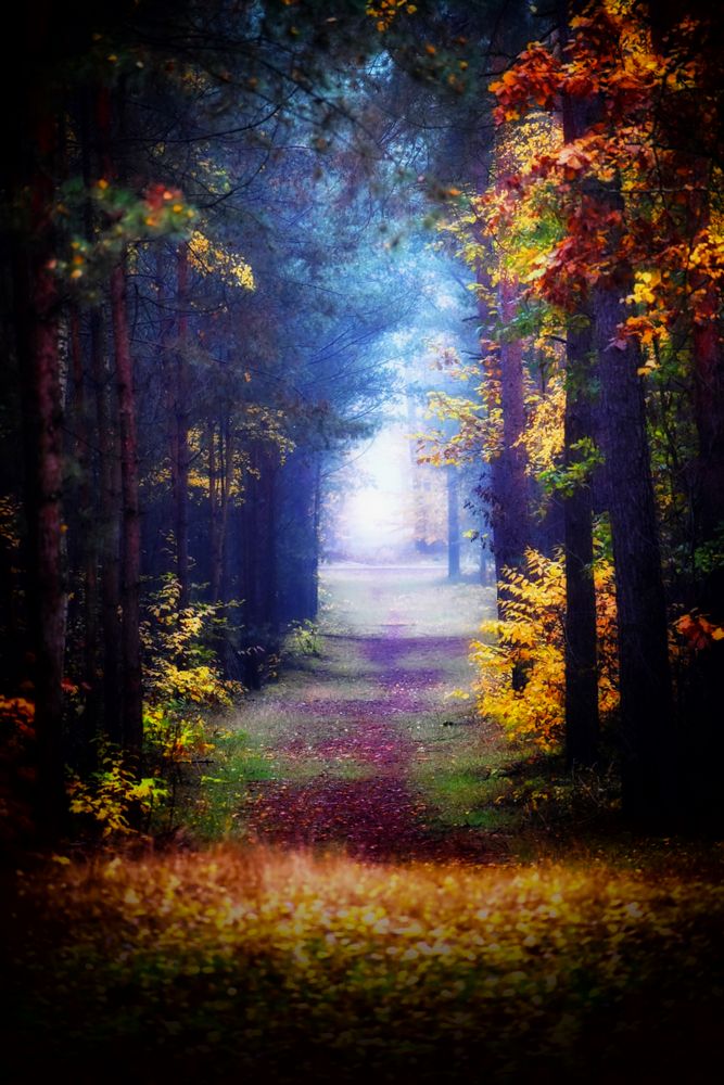 Herbst in Brandenburg Foto & Bild  landschaft, jahreszeiten, herbst Bilder auf fotocommunity