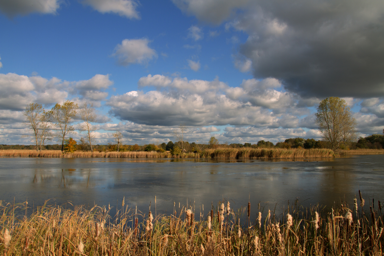 Herbst in Brandenburg Foto & Bild  landschaft, natur Bilder auf fotocommunity