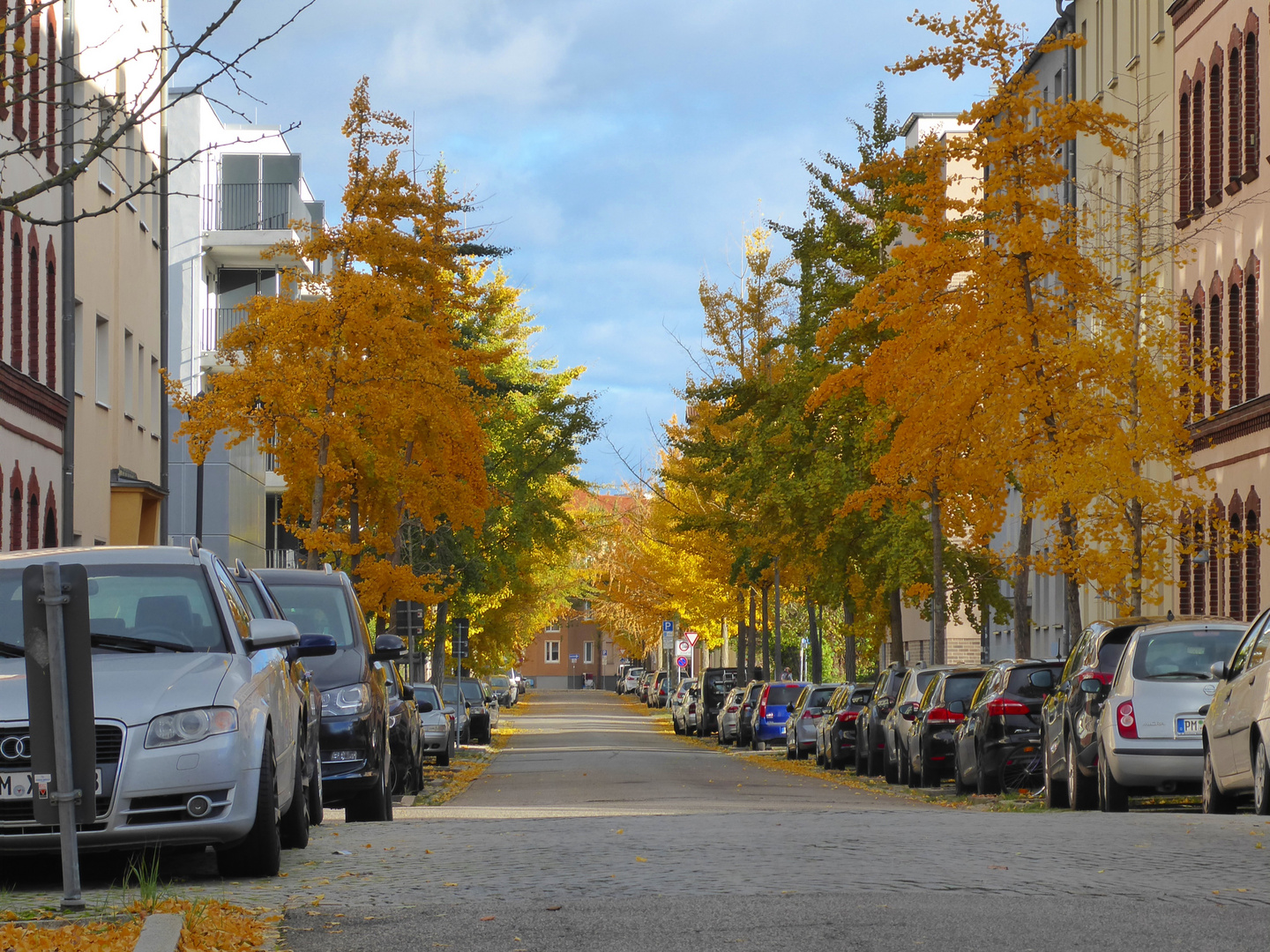 Herbst in Brandenburg/Havel