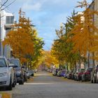 Herbst in Brandenburg/Havel