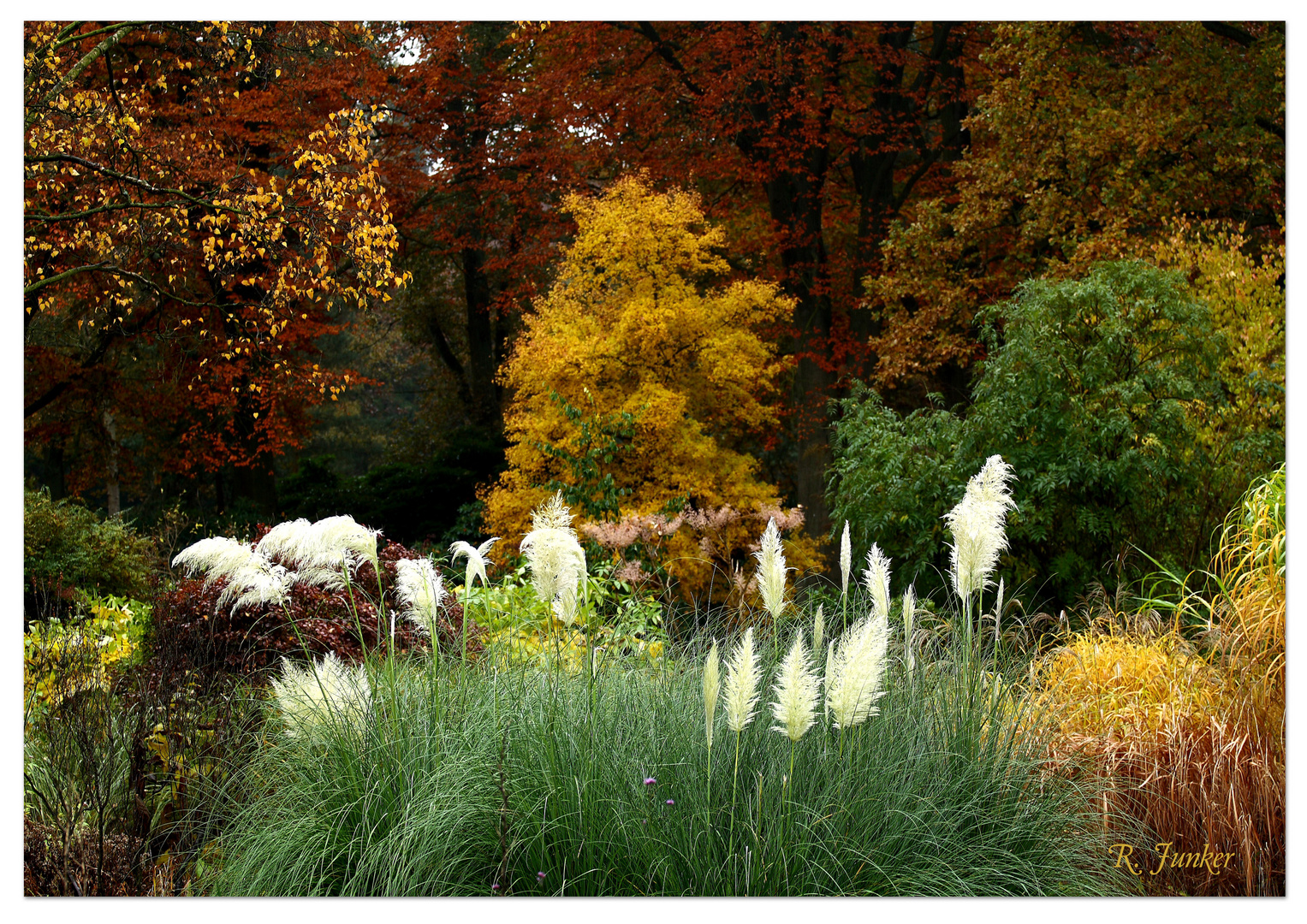 Herbst in Bremen 1