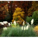 Herbst in Bremen 1