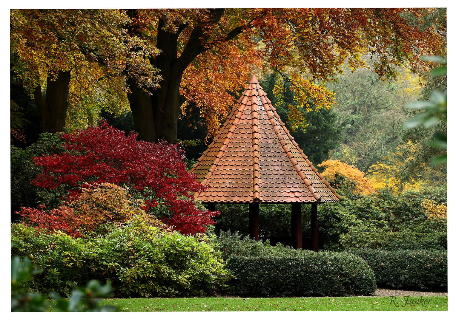 Herbst in Bremen 2