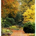 Herbst in Bremen 4