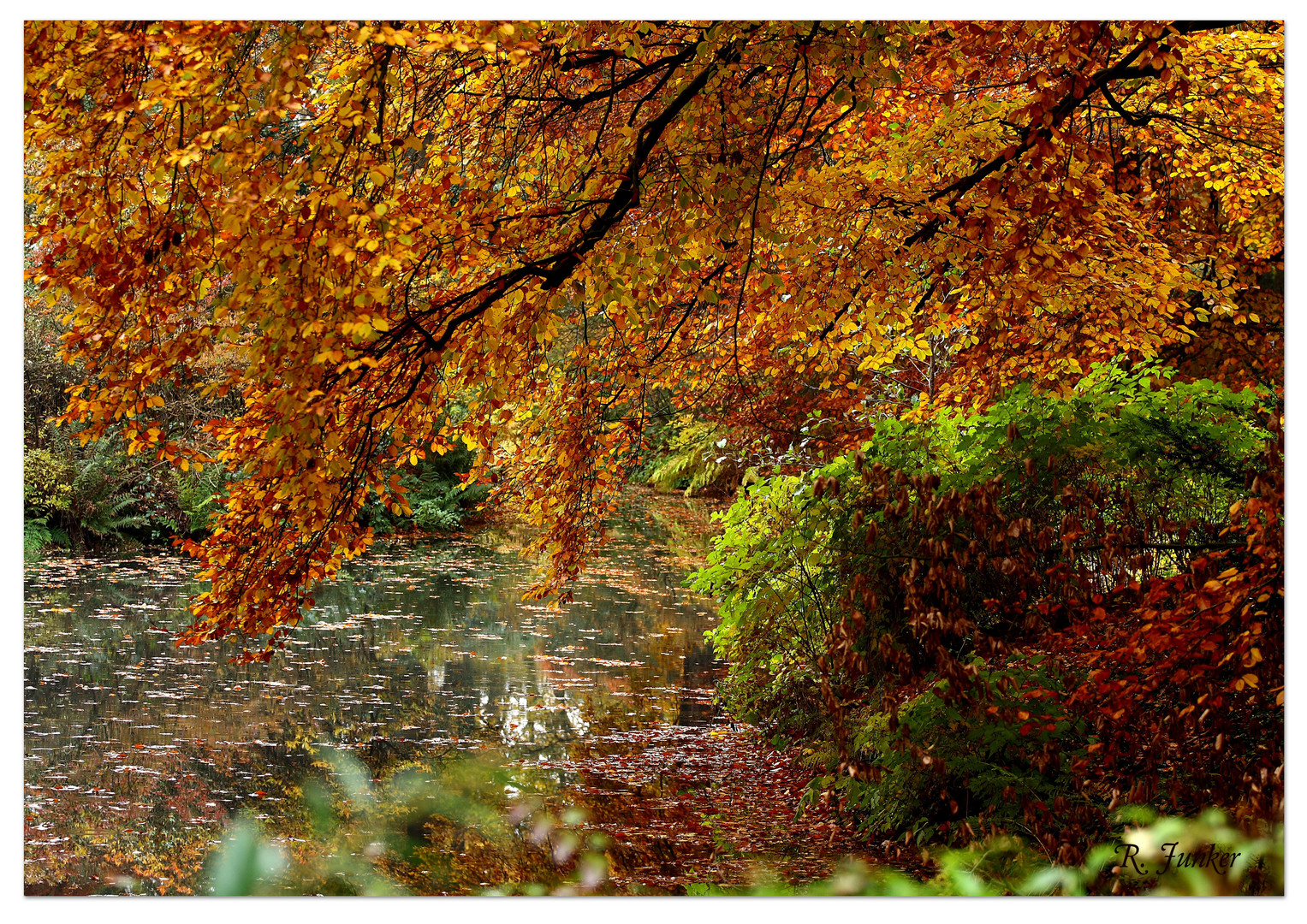 Herbst in Bremen