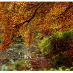 Herbst in Bremen