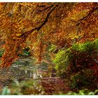 Herbst in Bremen