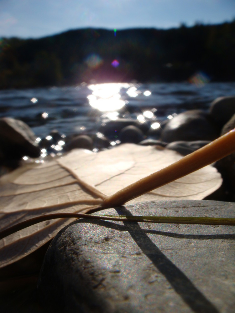 Herbst in British Columbia (1)