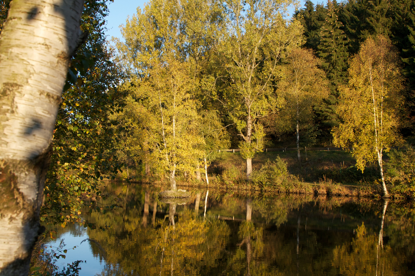 Herbst in Büllingen ( Belgien )