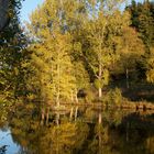 Herbst in Büllingen ( Belgien )