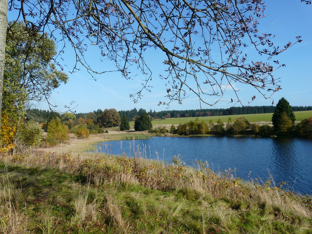 Herbst in Buntenbock