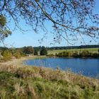 Herbst in Buntenbock