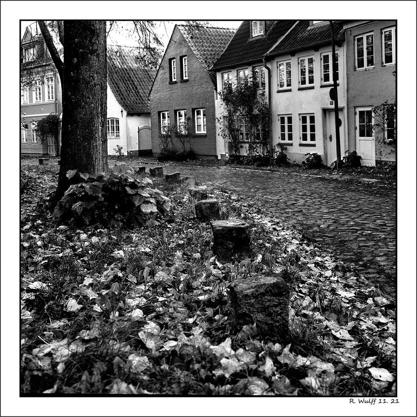 Herbst in B&W