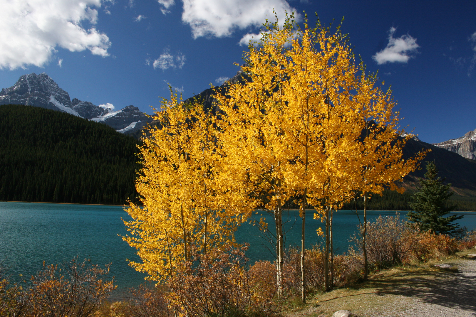 Herbst in Canada