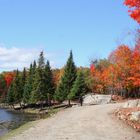 Herbst in Canada
