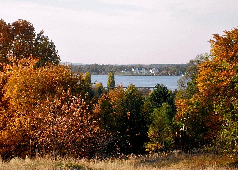 Herbst in Caputh am Schwielowsee