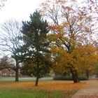 Herbst in Celle