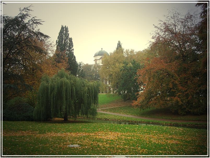 Herbst in Celle