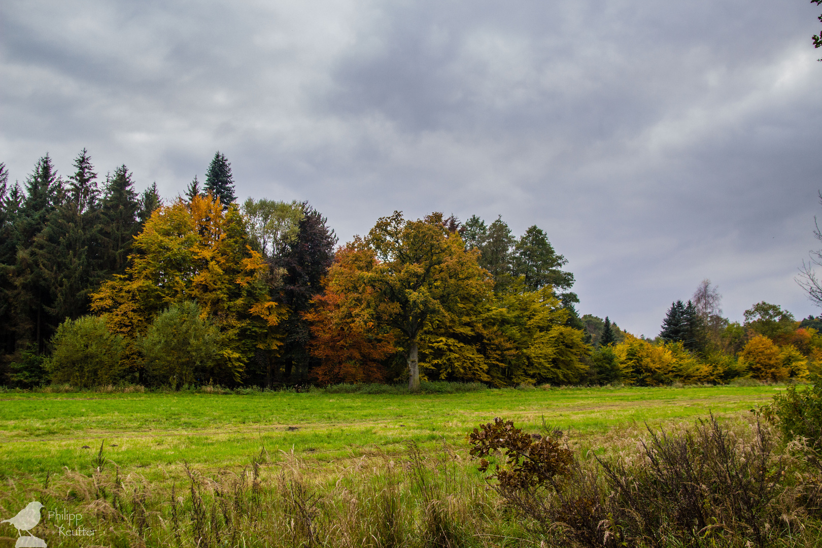 Herbst in Celle