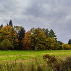 Herbst in Celle