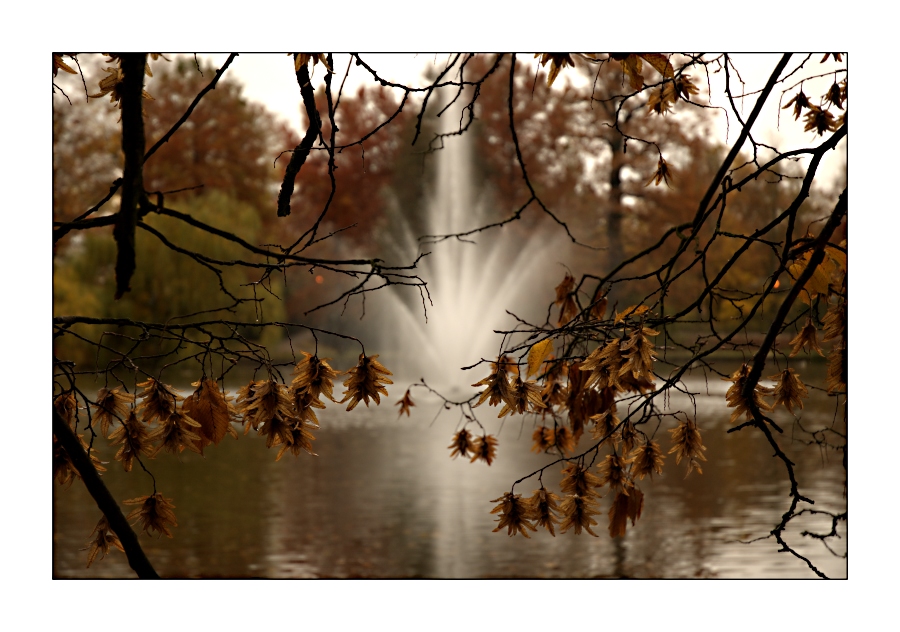 Herbst in Celle