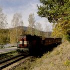 Herbst in Cesky Krumlov - Am Stausee V