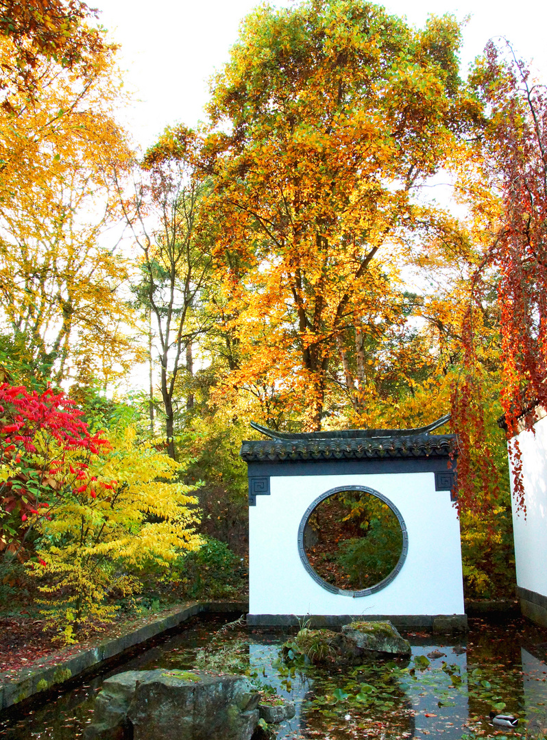 Herbst in China Garten