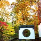 Herbst in China Garten