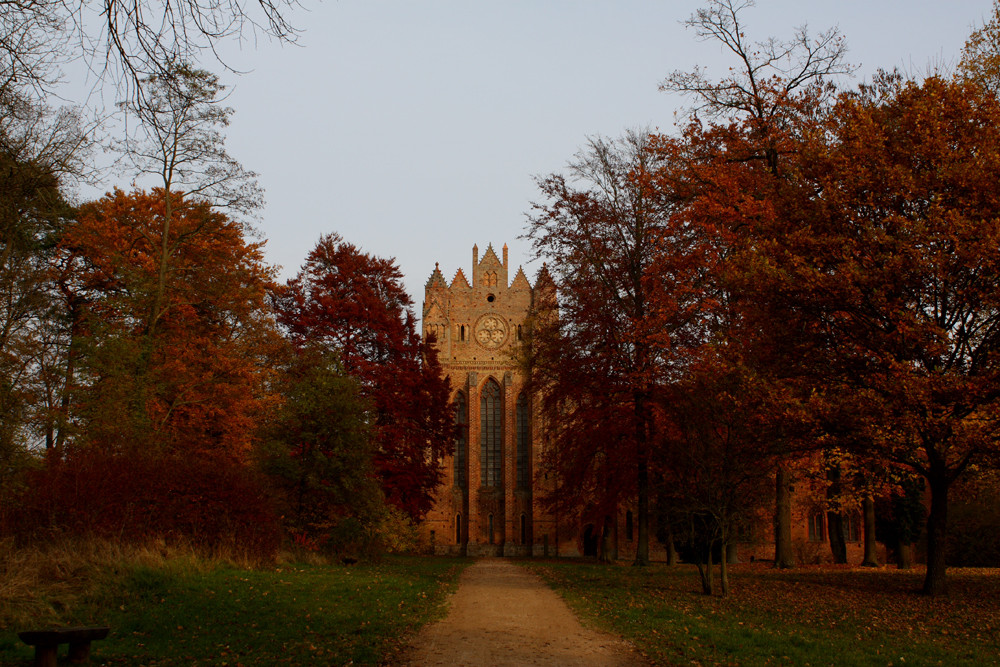 Herbst in Chorin