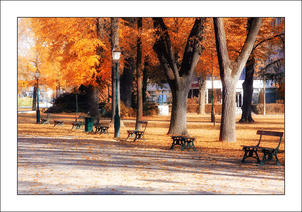 Herbst in Colmar