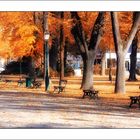 Herbst in Colmar