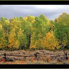 Herbst in Colorado