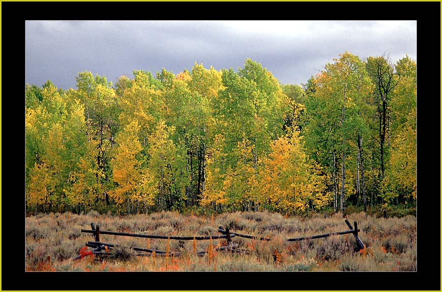 Herbst in Colorado