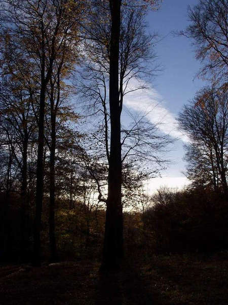 Herbst in Dänemark