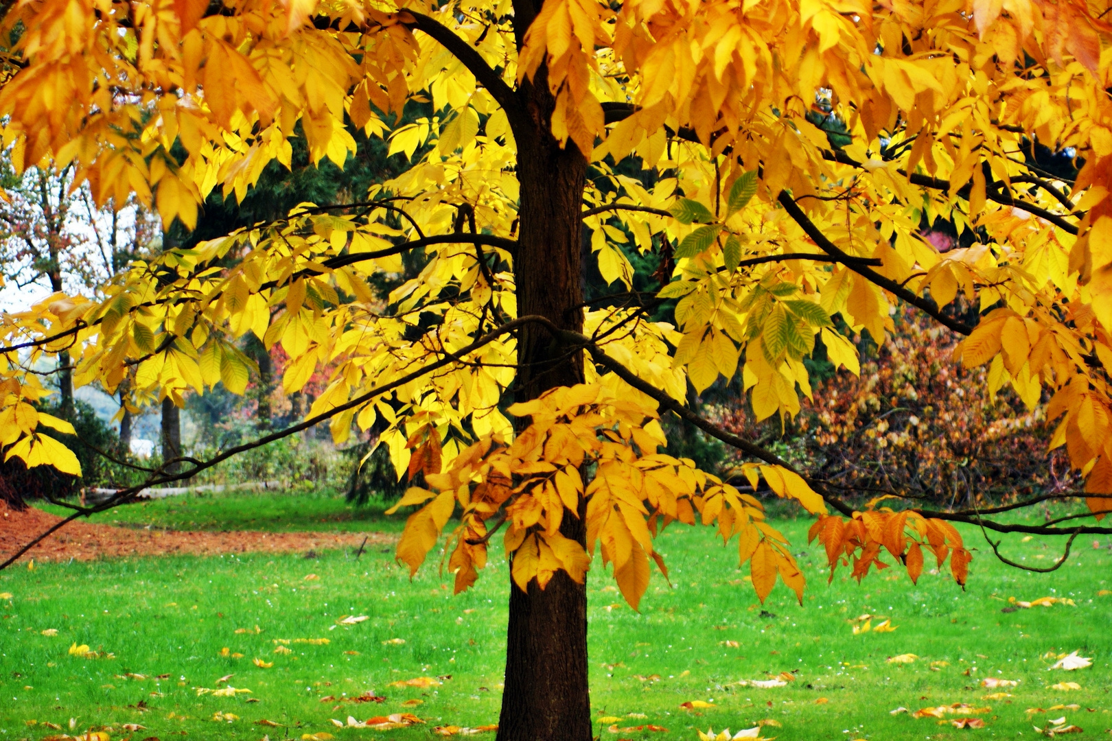 Herbst in Dänemark