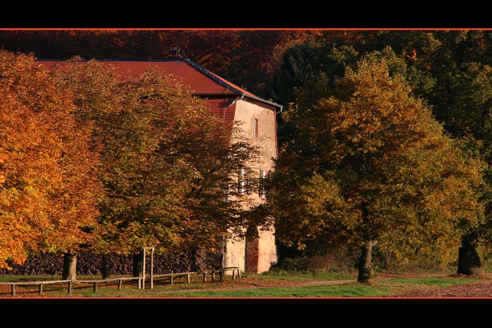 Herbst in Darmstadt