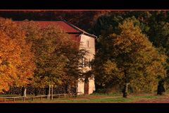 Herbst in Darmstadt