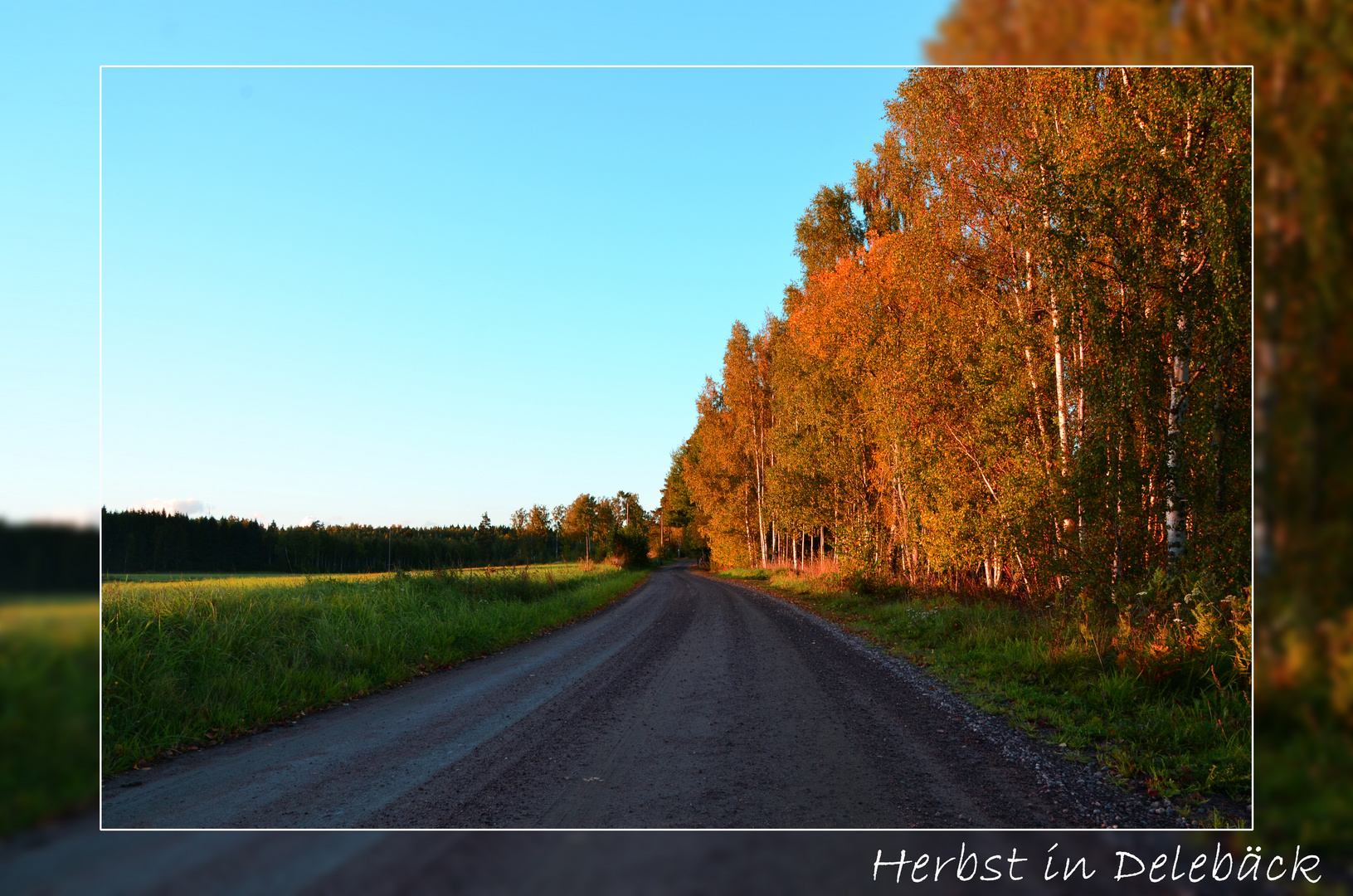 Herbst in Delebäck