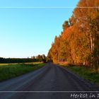 Herbst in Delebäck