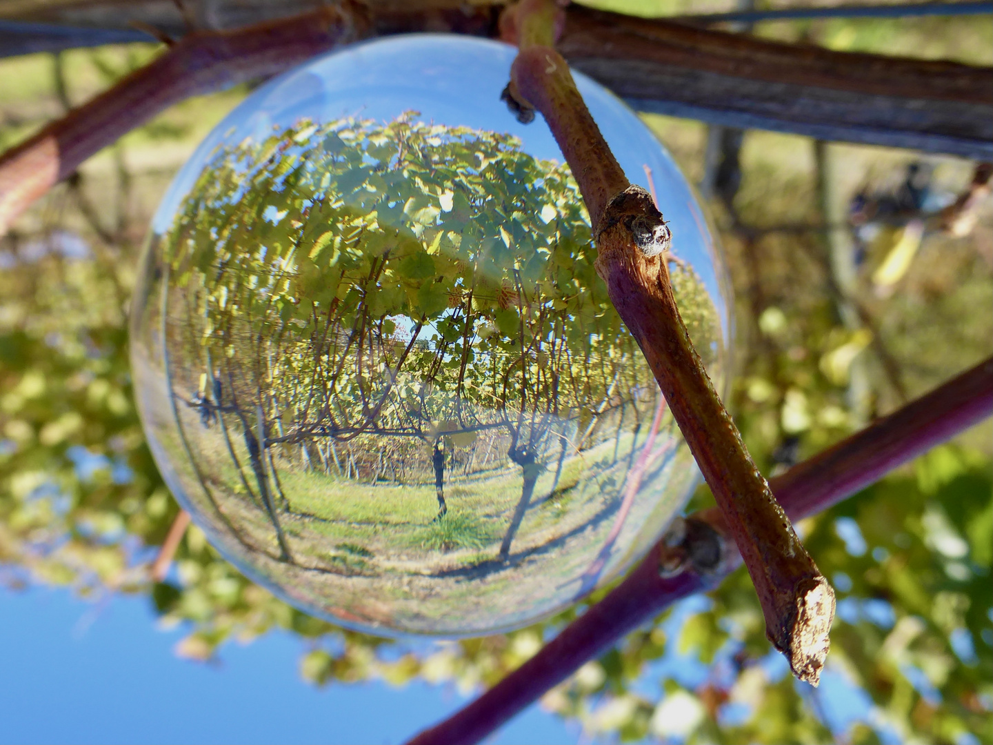 Herbst in den Ahr-Weinbergen